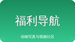 福利导航